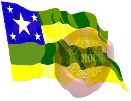 BANDEIRA DO ESTADO DE SERGIPE - 1